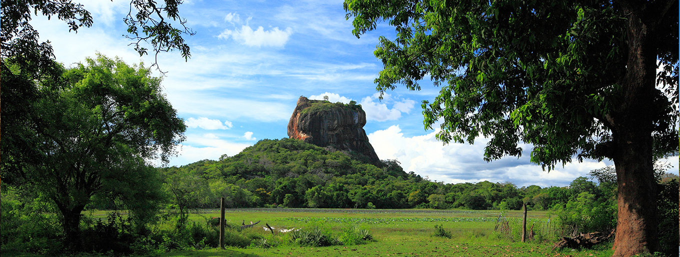 Sigiriya Rock Sri Lanka - SigiriyaJungles