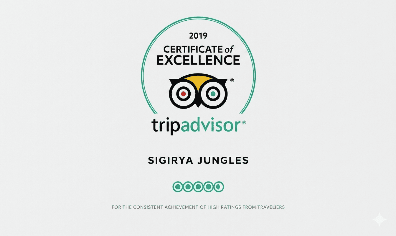 Certificate of Excellence Awarded for 2018 & 2019