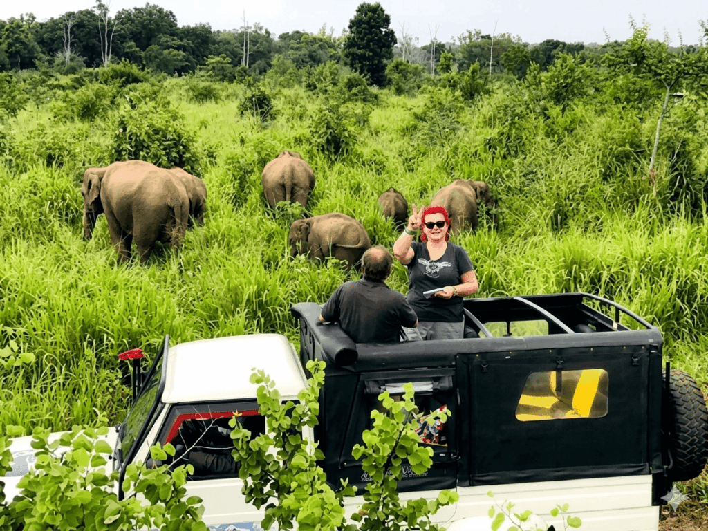 Kaudulla National Park - best outdoor activities in Sigiriya